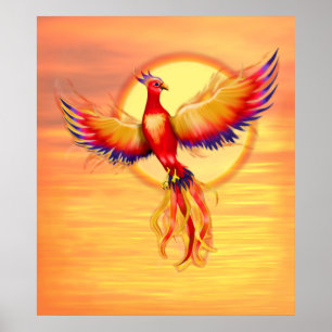 Póster Phoenix Rising