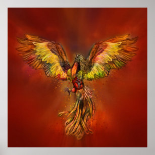 Póster Phoenix Rising - cielo rojo
