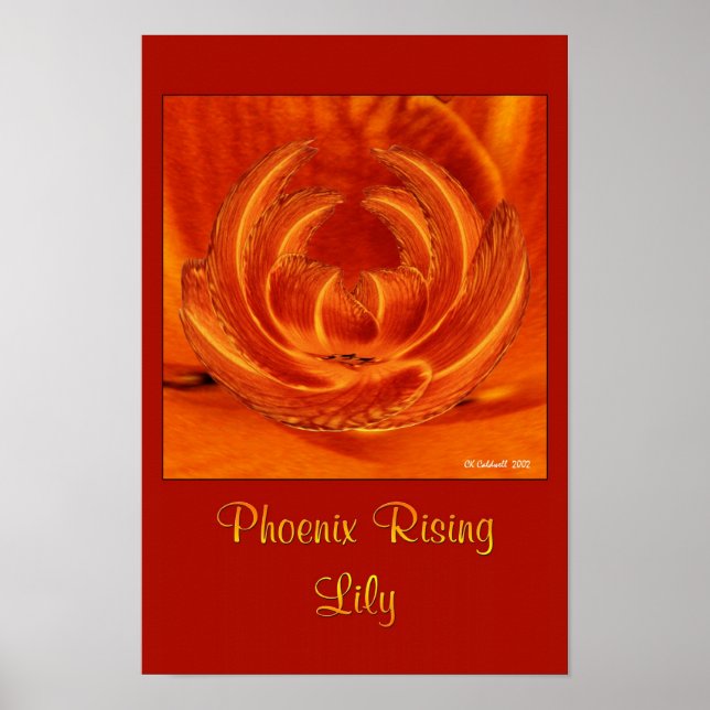 Póster Phoenix Rising Lily (Frente)