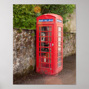 Póster Phonebooth