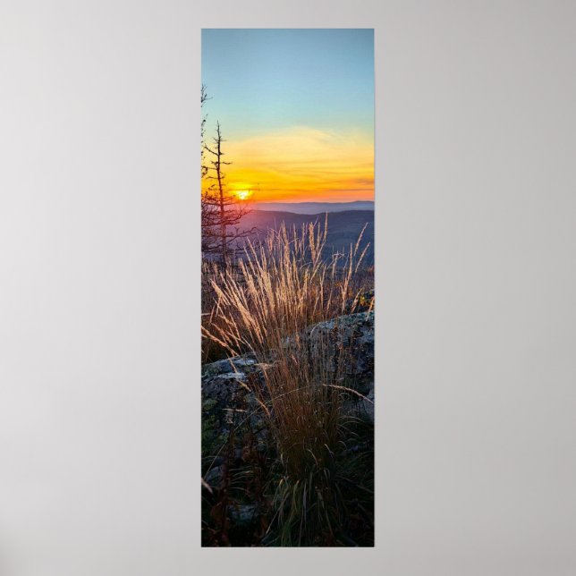 Póster photo of a mountainous autumn forest, mountains, p (Frente)