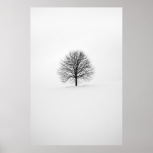PÓSTER PHOTOGRAPHY OF TREE