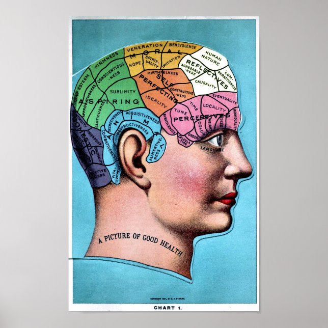 Póster Phrenology Poster (Frente)