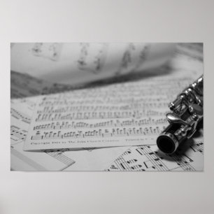Póster Piccolo and sheet music poster