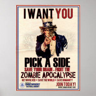 Póster Pick a Side Uncle Sam Poster