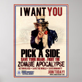 Póster Pick a Side Uncle Sam Poster