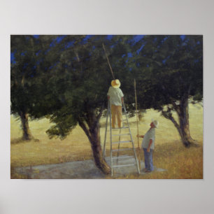 Póster Pickers de oliva de 1985
