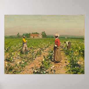 Póster Picking Cotton - William G. Gaul Bella Artes Poste