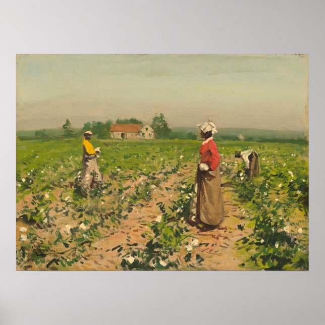 Póster Picking Cotton - William G. Gaul Bella Artes Poste (Frente)
