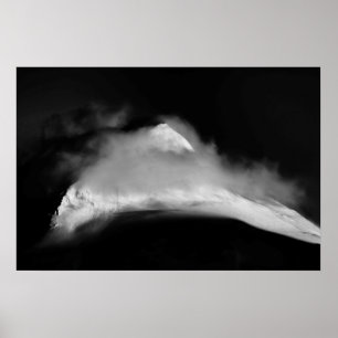 Póster Pico de Baird con cubierta