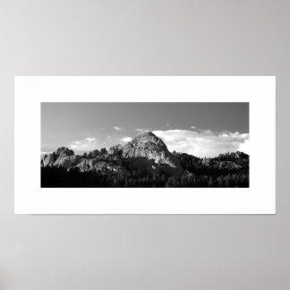 Póster Pico de calamidad