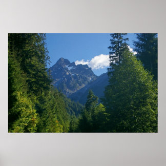 Póster Pico Del Campo