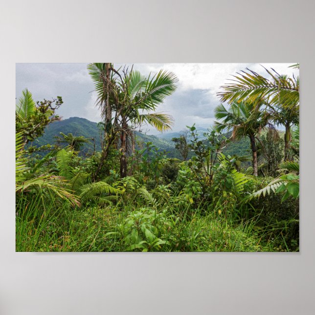 Póster Picos y valles del yunque (Frente)