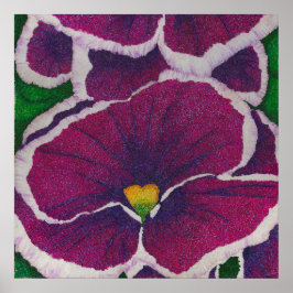 Póster Picottee Pansy
