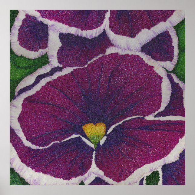 Póster Picottee Pansy (Frente)