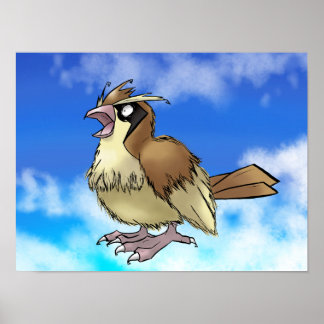 Póster Pidge Y