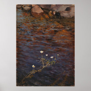 Póster Pie cruzada de agua de estanque (1895) Eero Järnef