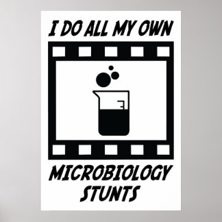 Póster Piedras de la microbiología