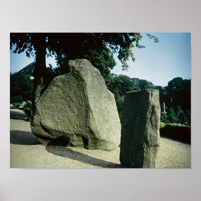 Póster Piedras de ramas de vikini (Frente)
