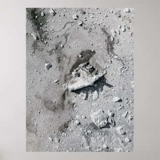 Póster Piedras grises en la suciedad gris
