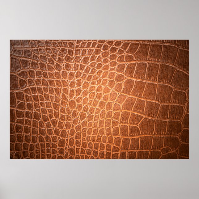 Póster Piel de fondo de textura de piel marrón,abstracto (Frente)
