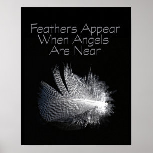 Póster Piel de plumas rayadas en blanco y negro flotando