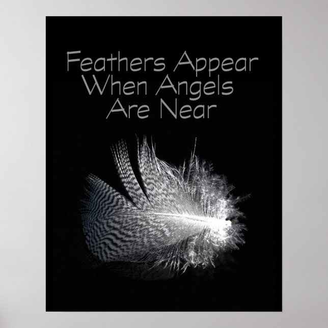 Póster Piel de plumas rayadas en blanco y negro flotando  (Frente)