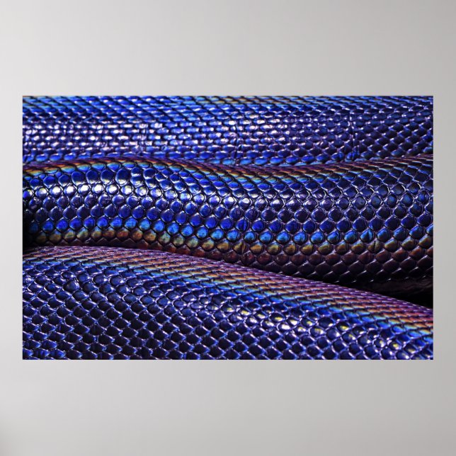 Póster Piel de serpiente azul y violeta (Frente)