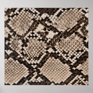 Póster Piel de serpiente: fondo texturado.