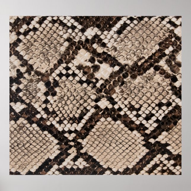 Póster Piel de serpiente: fondo texturado. (Frente)