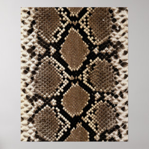 Póster Piel Diamond Back Rattlessnake