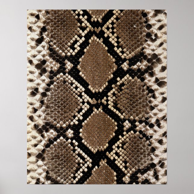Póster Piel Diamond Back Rattlessnake (Frente)