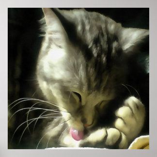 Póster Piel Y Puro Suave Y Suave De Un Gato Gris