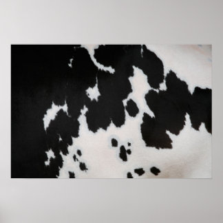 Póster Pieles de vaca
