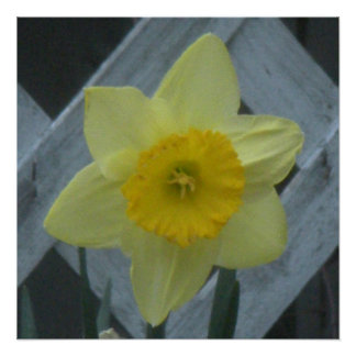 Póster ¡Piensa en la primavera!