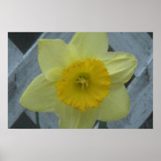 Póster ¡Piensa en primavera!