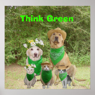 Póster Piense el verde