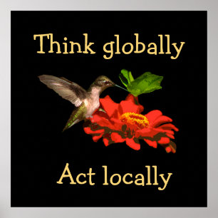 Póster Piense en el Poster local de Hummingbird