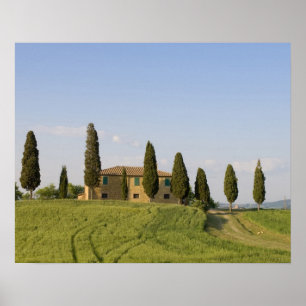 Póster Pienza, Val d'Orcia, Siena province, Tuscany,