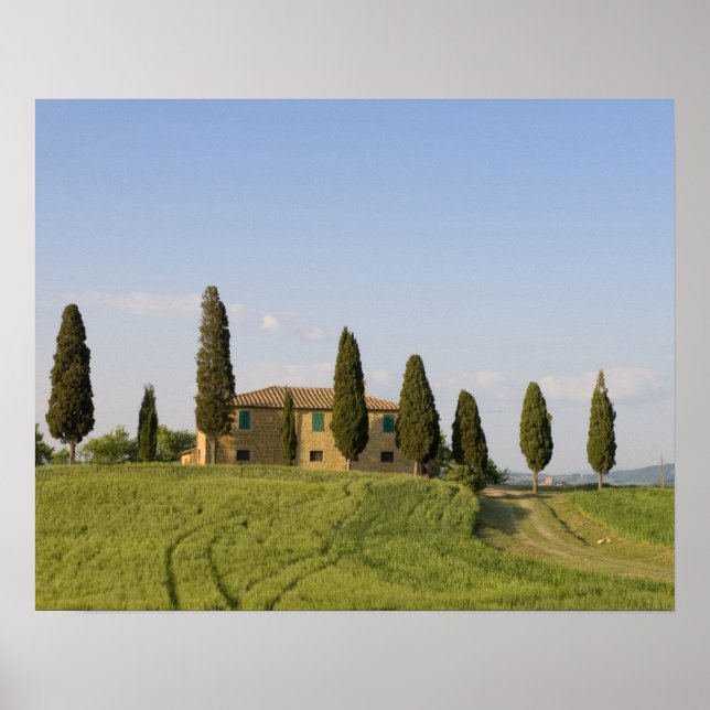 Póster Pienza, Val d'Orcia, Siena province, Tuscany, (Frente)