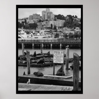 Póster Pier 39