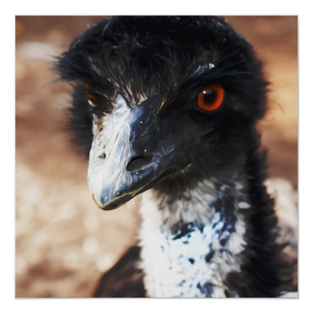 Póster Piercing Eyes of the Outback (Anverso)