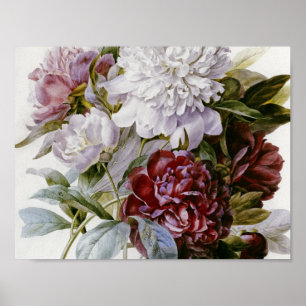 Póster Pierre Joseph Redoute - A Bouquet  Peonies