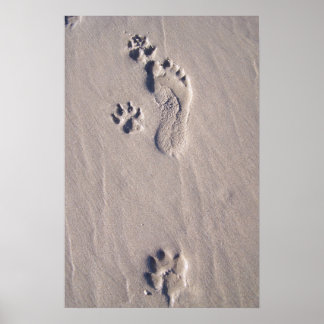 Póster Pies felices