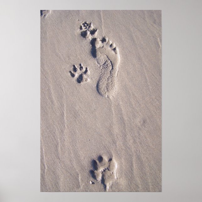 Póster Pies felices (Frente)