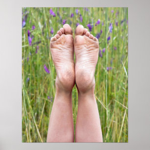 Póster pies sucios desnudos en flores silvestres