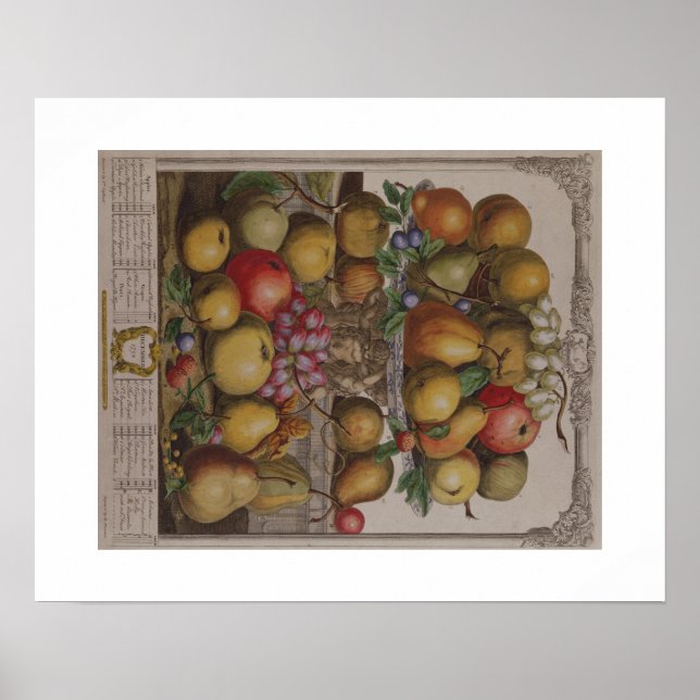 Póster Pieter Casteels, doce meses de fruta, diciembre (Frente)