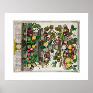 Póster Pieter Casteels, doce meses de frutas, junio