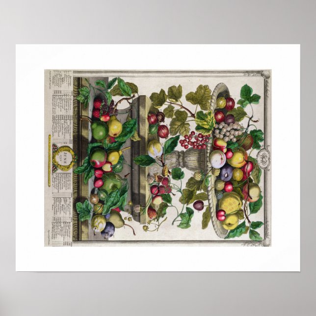 Póster Pieter Casteels, doce meses de frutas, junio (Frente)