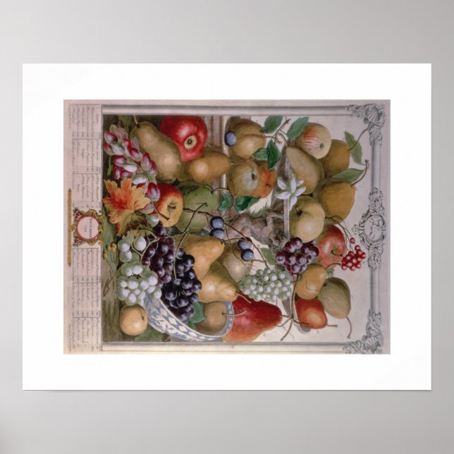 Póster Pieter Casteels, doce meses de frutas Noviembre (Frente)